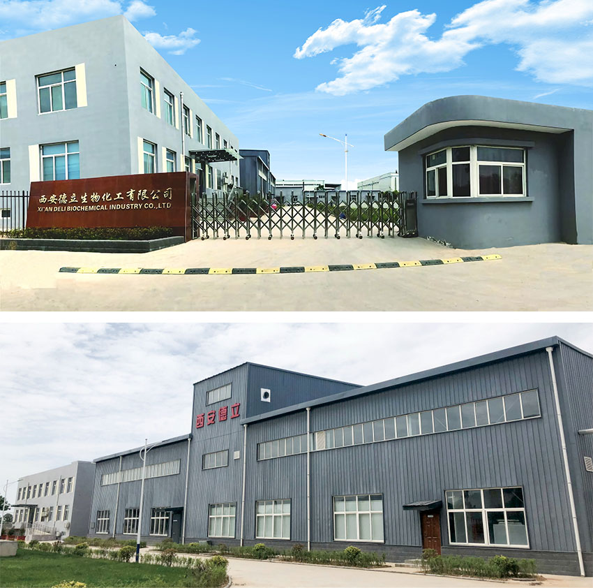 Xi'an Deli Biochemical Industry Co., Ltd.: Cyclodekstrin türevlerinde önde gelen yenilik, farmasötik endüstrisinin güçlendirilmesi